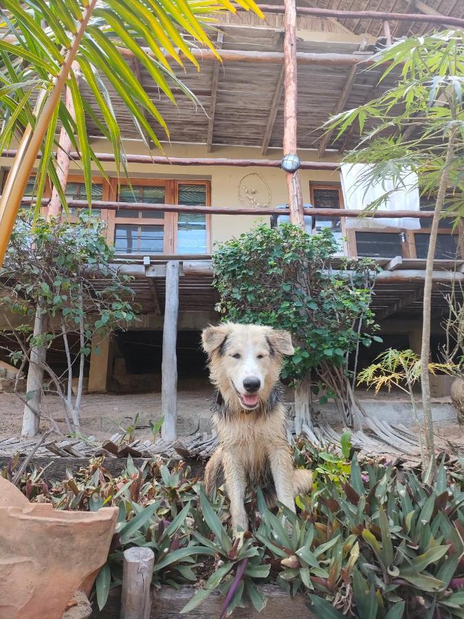Casa Surf Lodge - Praia do Tofo エクステリア 写真