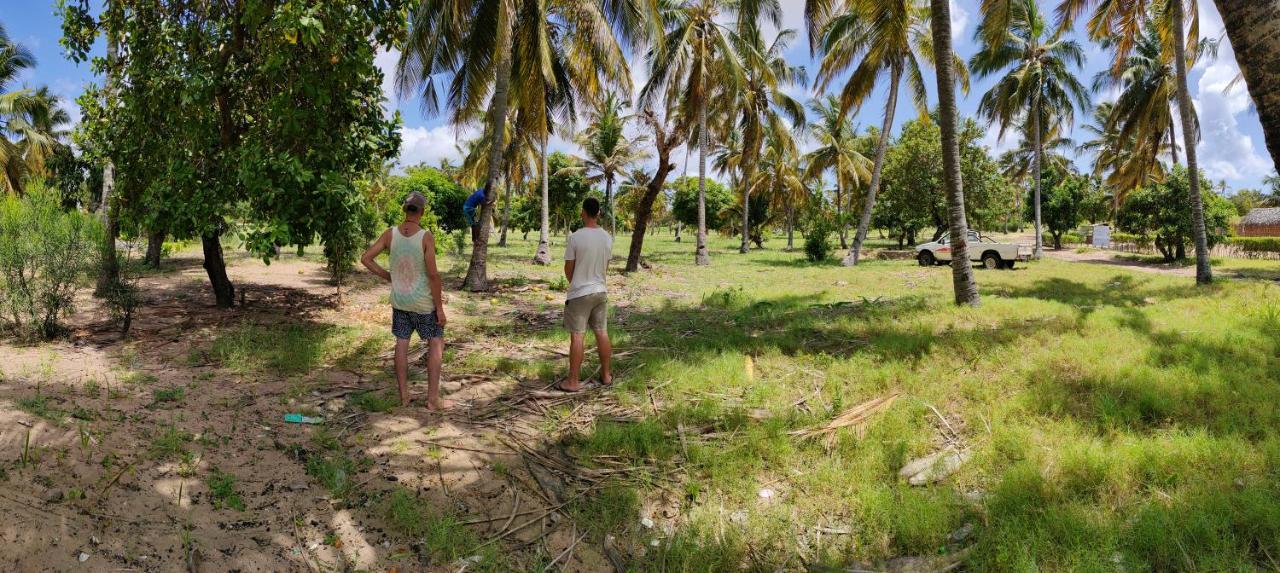 Casa Surf Lodge - Praia do Tofo エクステリア 写真