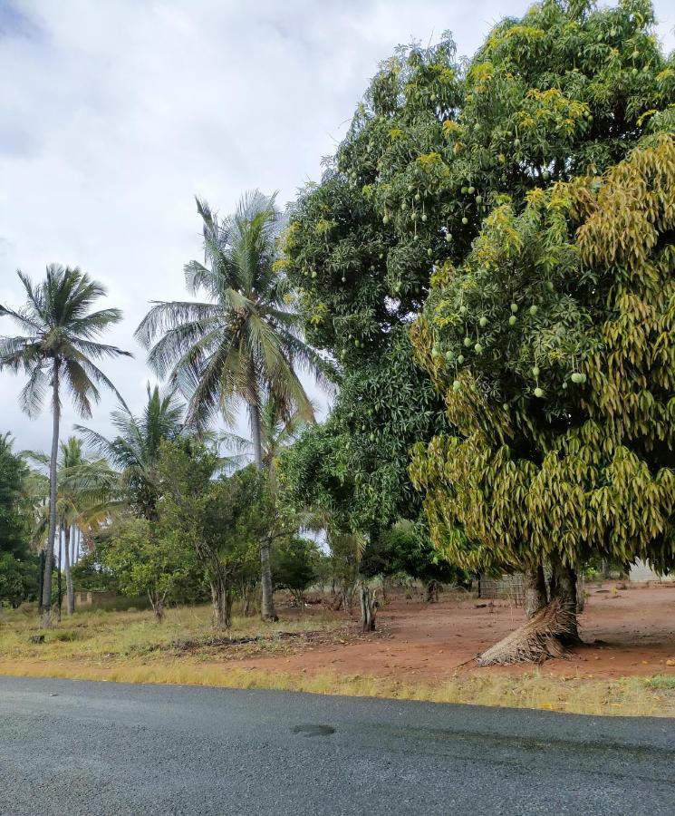 Casa Surf Lodge - Praia do Tofo エクステリア 写真
